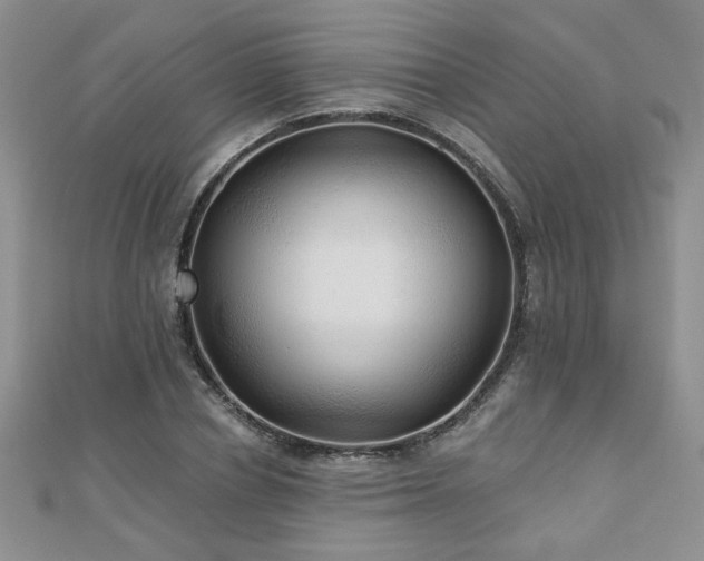 X0000110880834200906181223