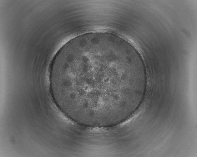 X0000110880835200906181223