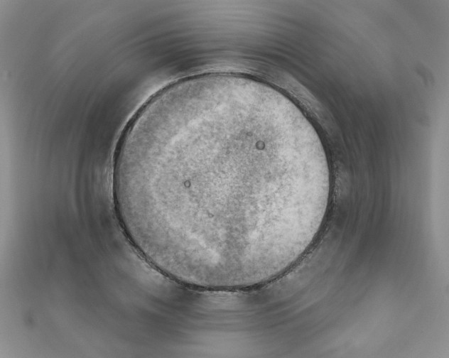 X0000110880836200906181223