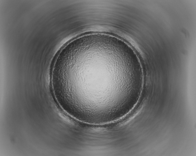 X0000110880837200906181223