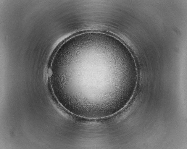 X0000110880838200906181223
