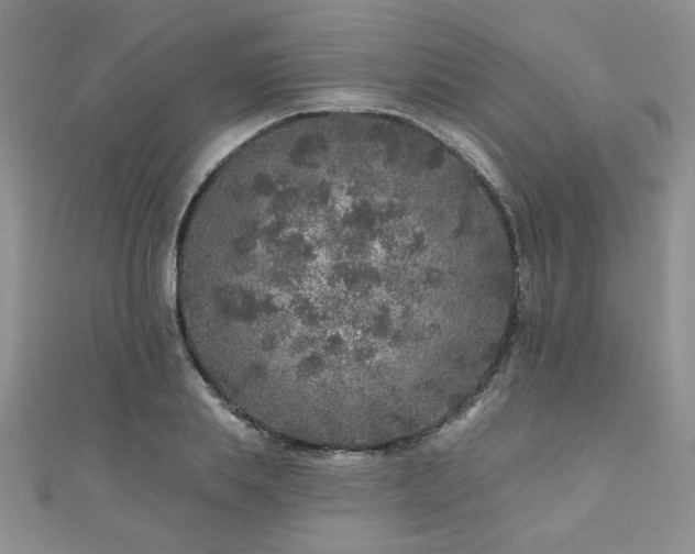 X0000110880839200906181223