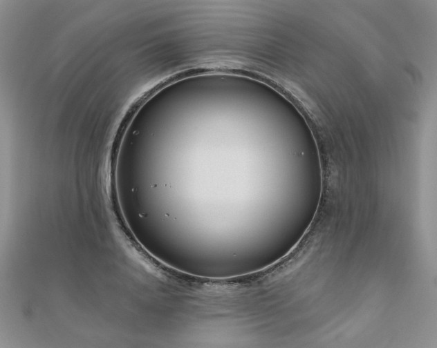 X0000110880840200906181223