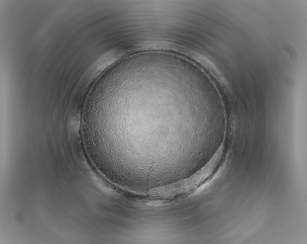 X0000110880841200906181223