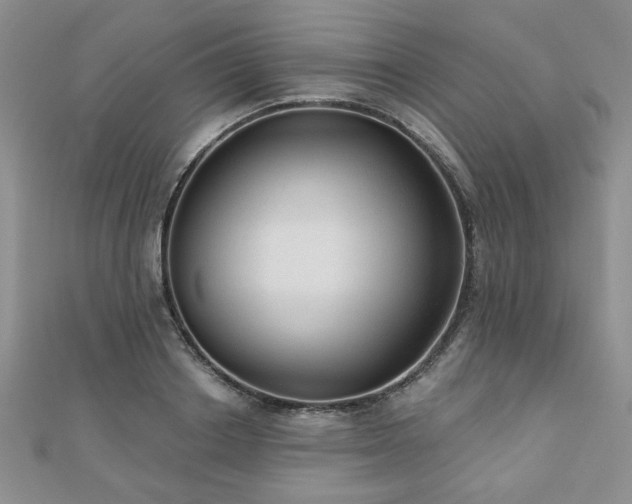X0000110880842200906181223