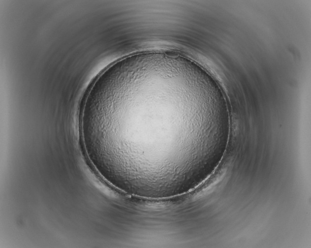 X0000110880843200906181223