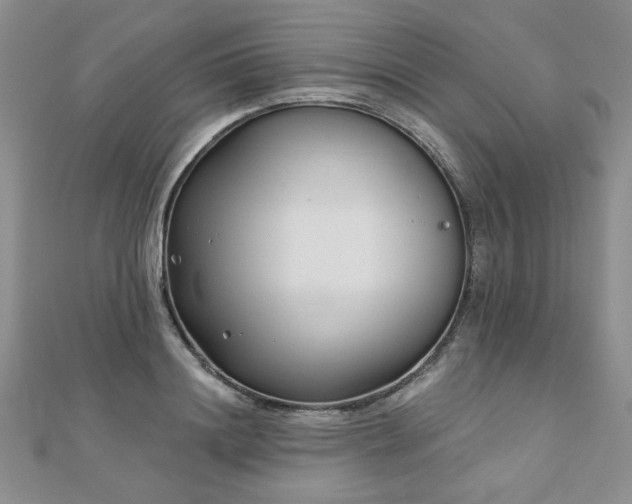 X0000110880844200906181223