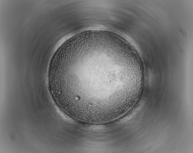 X0000110880845200906181223
