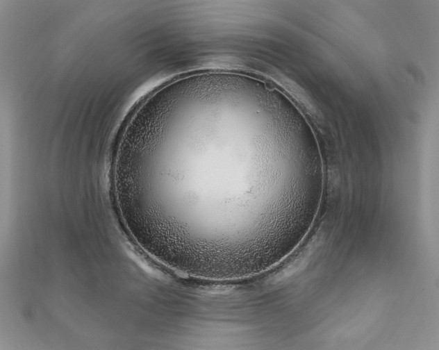 X0000110880846200906181223