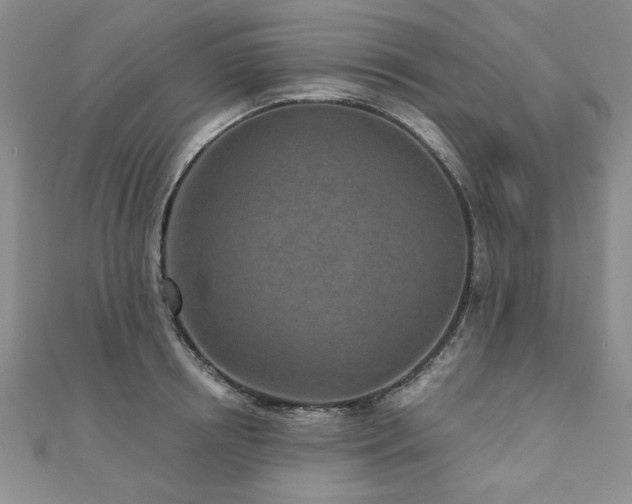 X0000110880850200906181223