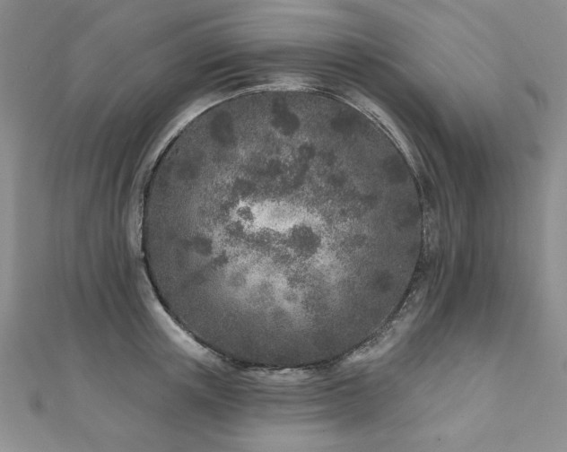 X0000110880851200906181223