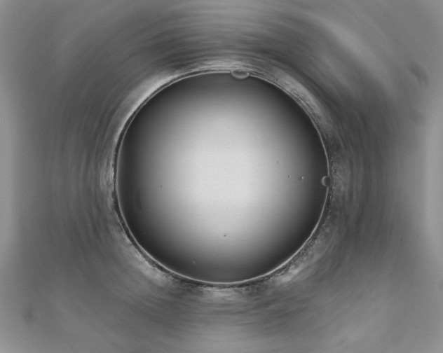 X0000110880852200906181223