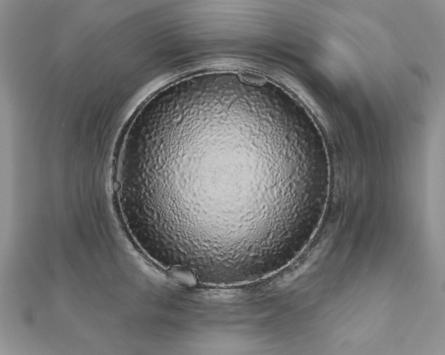 X0000110880853200906181223