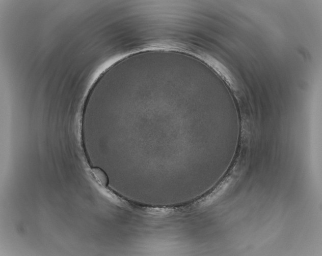 X0000110880854200906181223