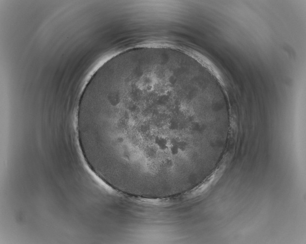 X0000110880855200906181223