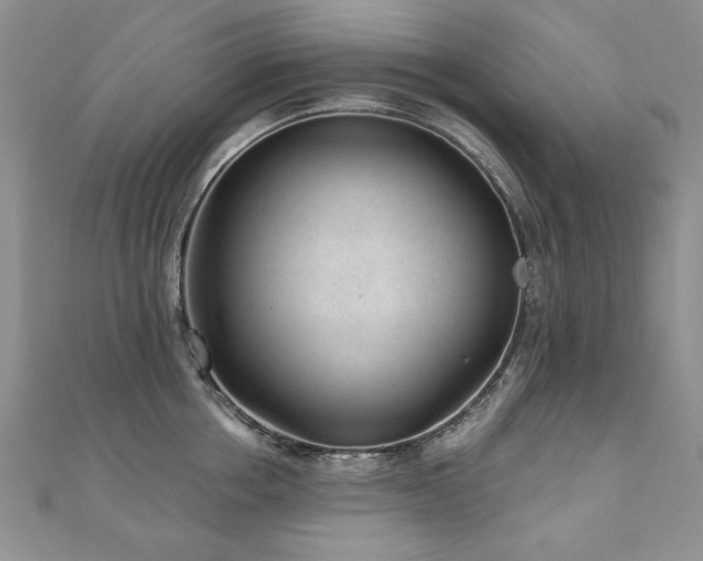 X0000110880858200906181224