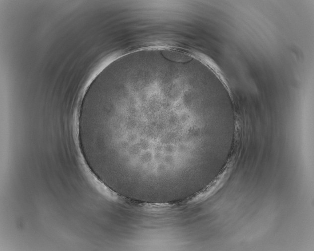 X0000110880859200906181224