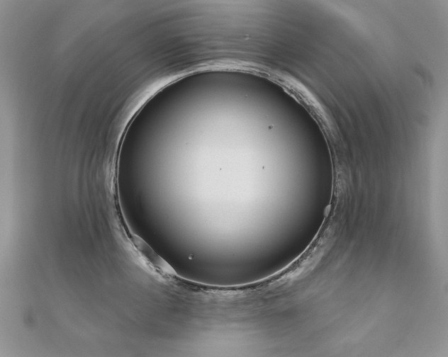 X0000110880860200906181224
