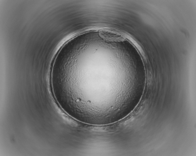X0000110880861200906181224
