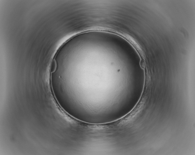 X0000110880862200906181224