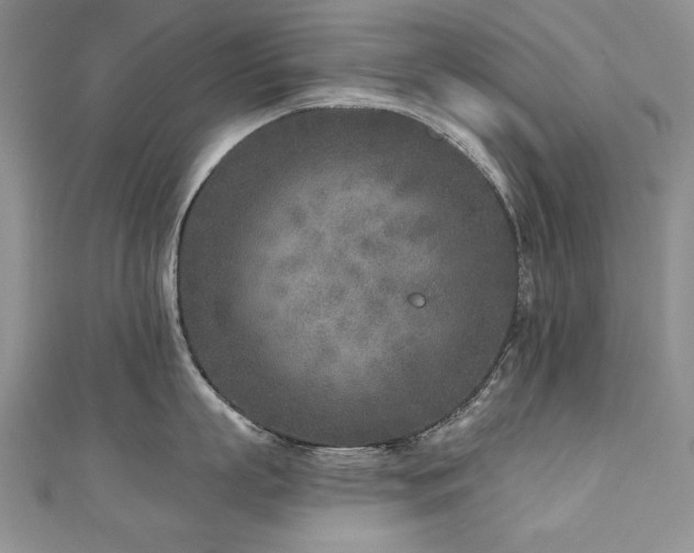 X0000110880863200906181224
