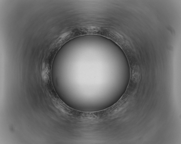 X0000110880866200906181223