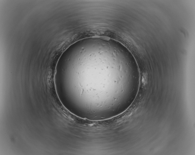 X0000110880867200906181223