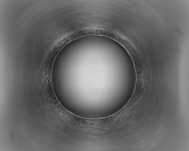 X0000110880870200906181223