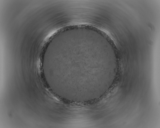 X0000110880871200906181223