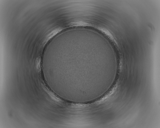 X0000110880873200906181223