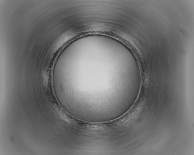 X0000110880874200906181223