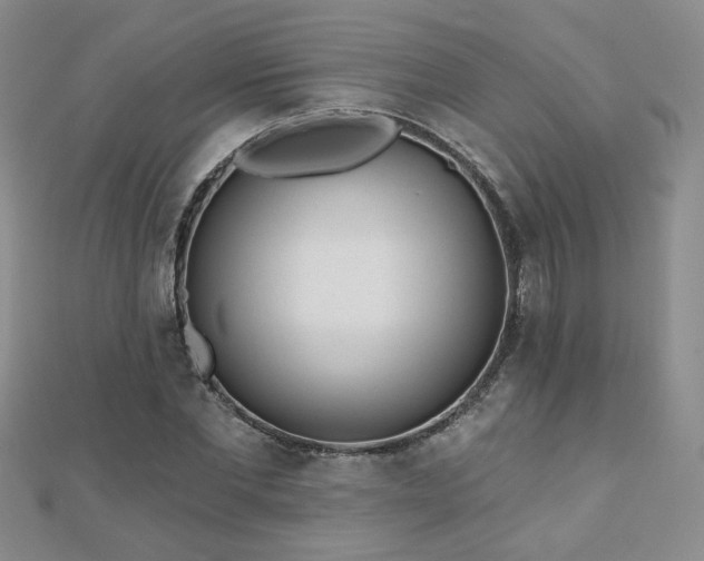 X0000110880877200906181223