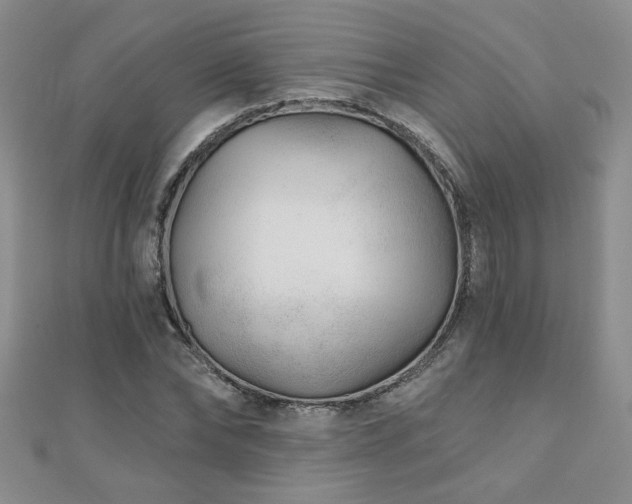 X0000110880878200906181223
