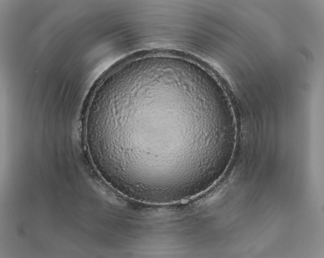 X0000110880879200906181223