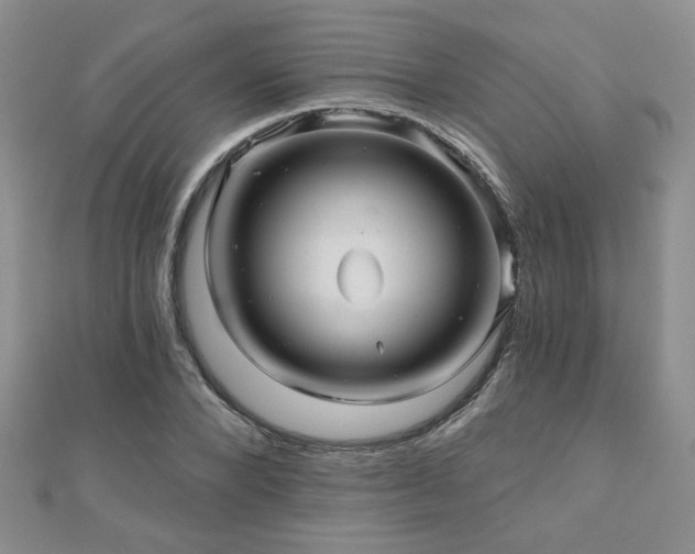 X0000110880880200906181223