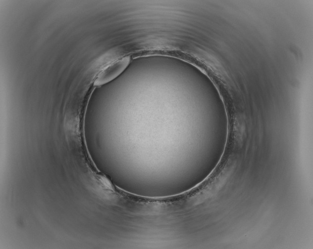 X0000110880881200906181223
