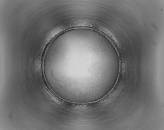 X0000110880882200906181223