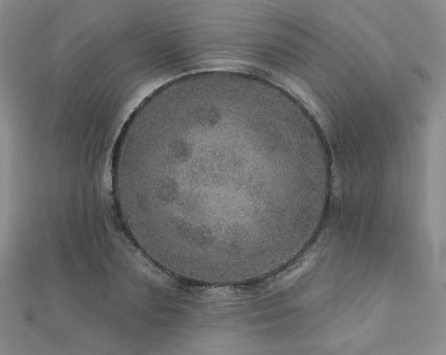 X0000110880883200906181223