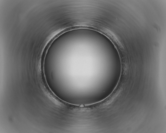 X0000110880884200906181223