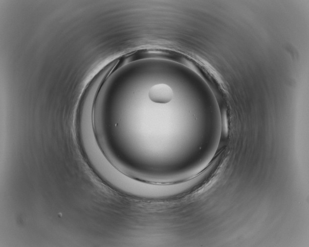 X0000110880885200906181223