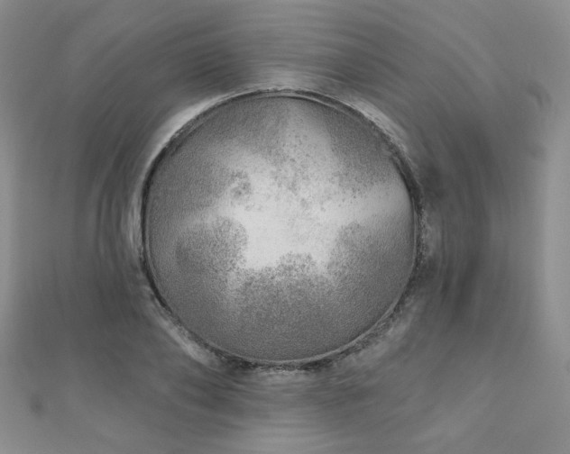 X0000110880886200906181223