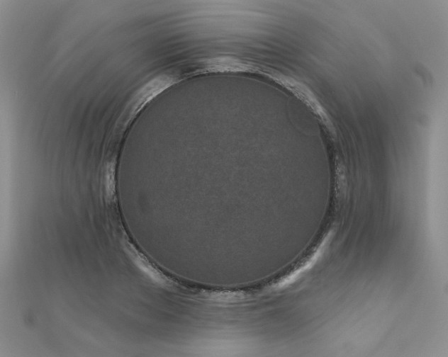 X0000110880889200906181222