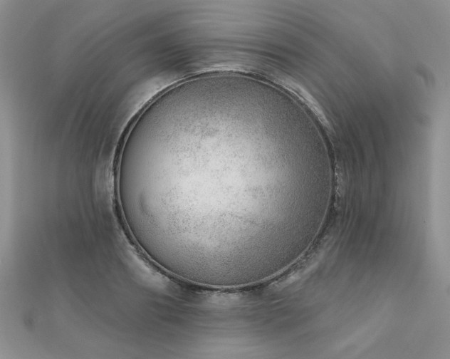 X0000110880890200906181222
