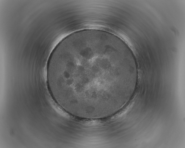X0000110880891200906181222