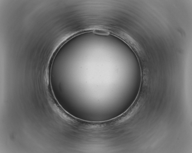 X0000110880892200906181222