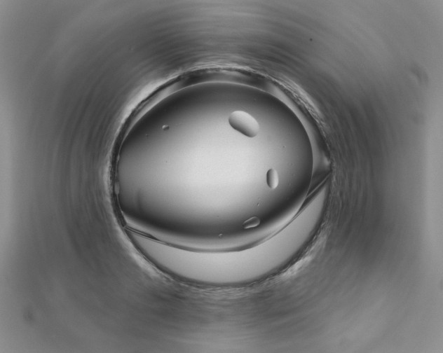 X0000110880893200906181222