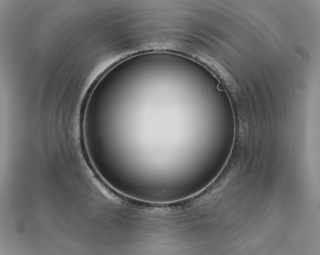 X0000110880894200906181222