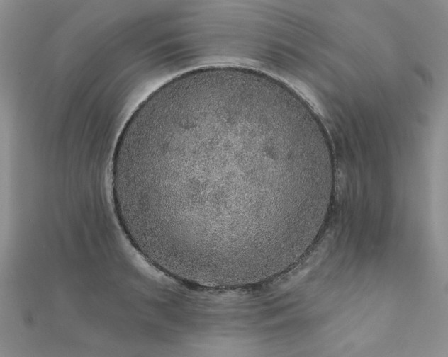 X0000110880895200906181222