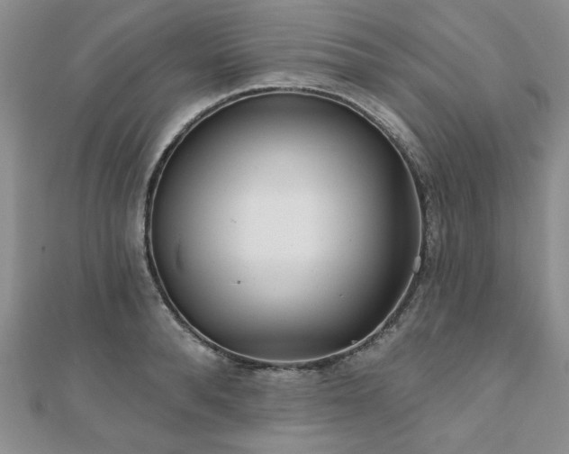X0000110880896200906181222