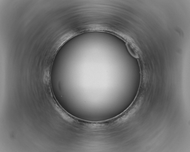 X0000110880897200906181222